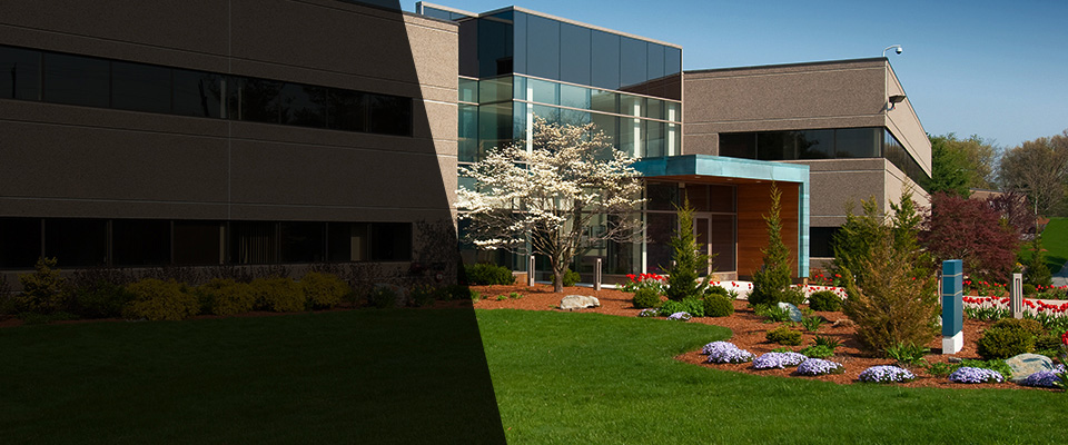 Okahumpka Landscapers