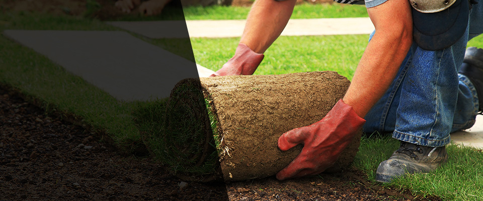 Okahumpka Landscapers